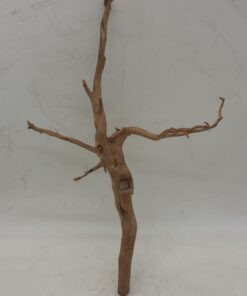 Spiderwood Small 8