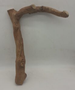 Java Wood - Single Stem - Large 8