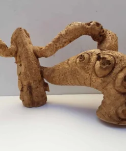 Bamboo Root