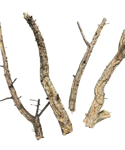 Cork Branches