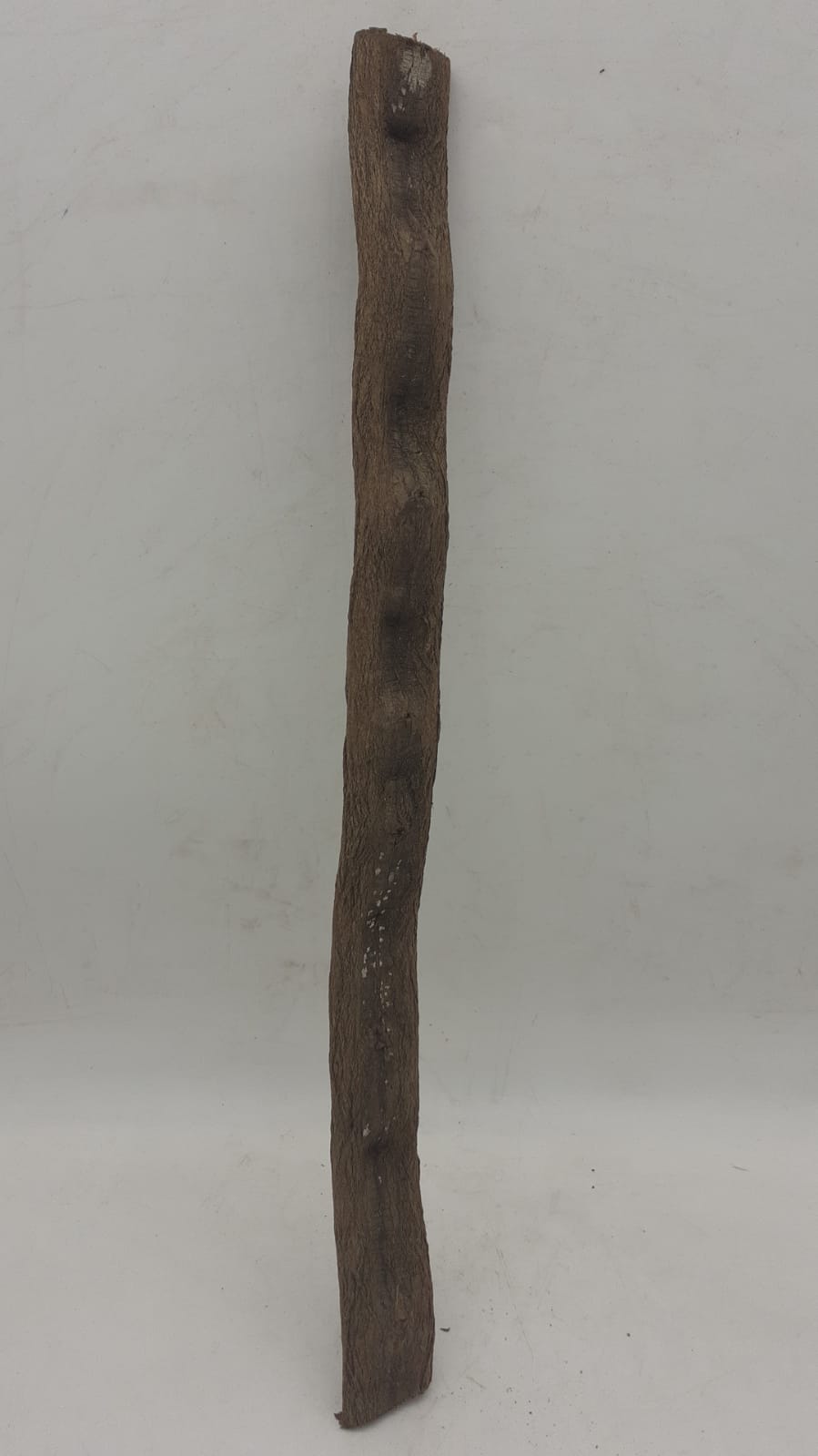 Monkey Ladder Liana - Short - 3