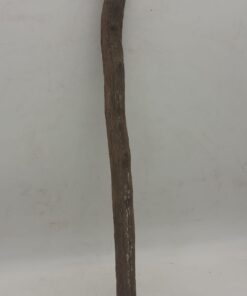 Monkey Ladder Liana - Short - 7