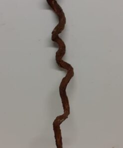 Curved Liana - Long - 7