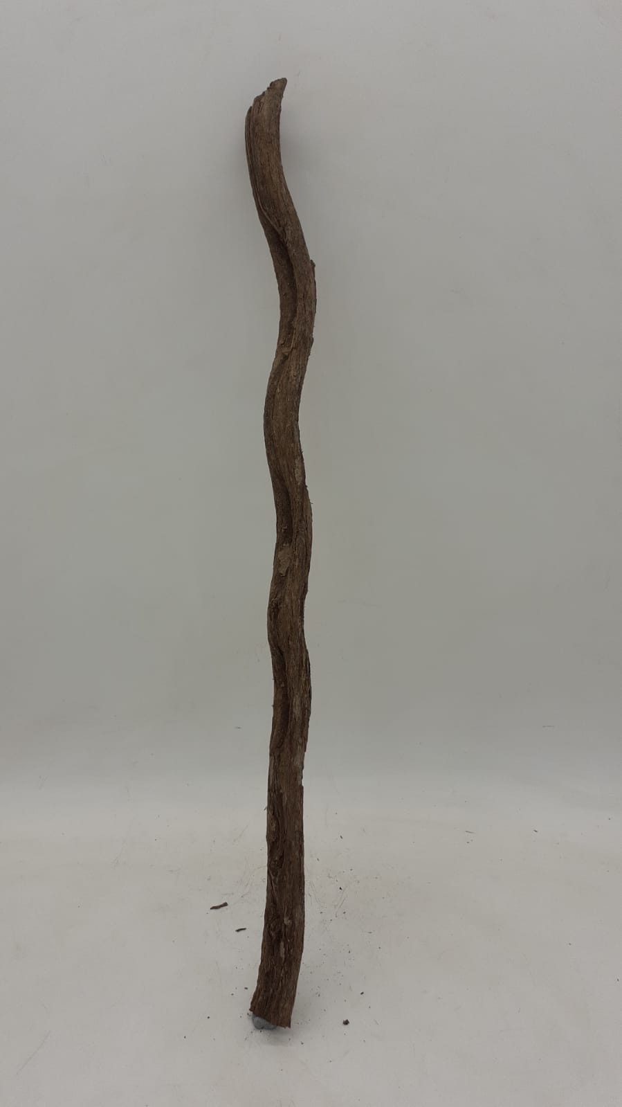 Monkey Ladder Liana - Short - 4