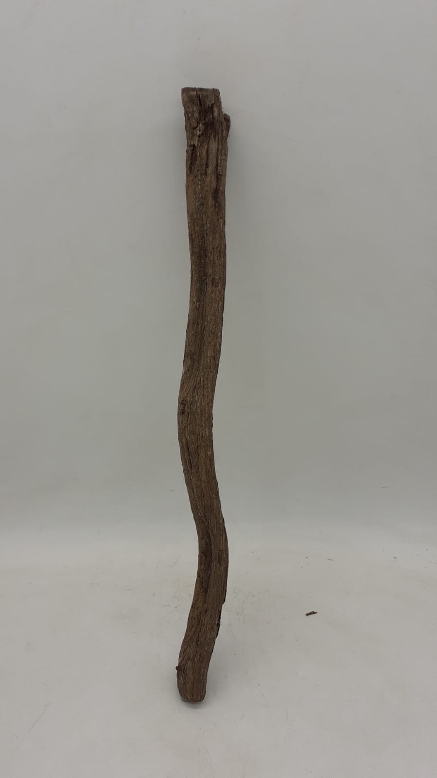 Monkey Ladder Liana - Short - 8