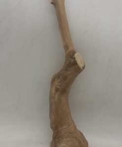 Java Wood - Single Stem - Large 2