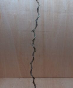 Curved Liana - Long - 1