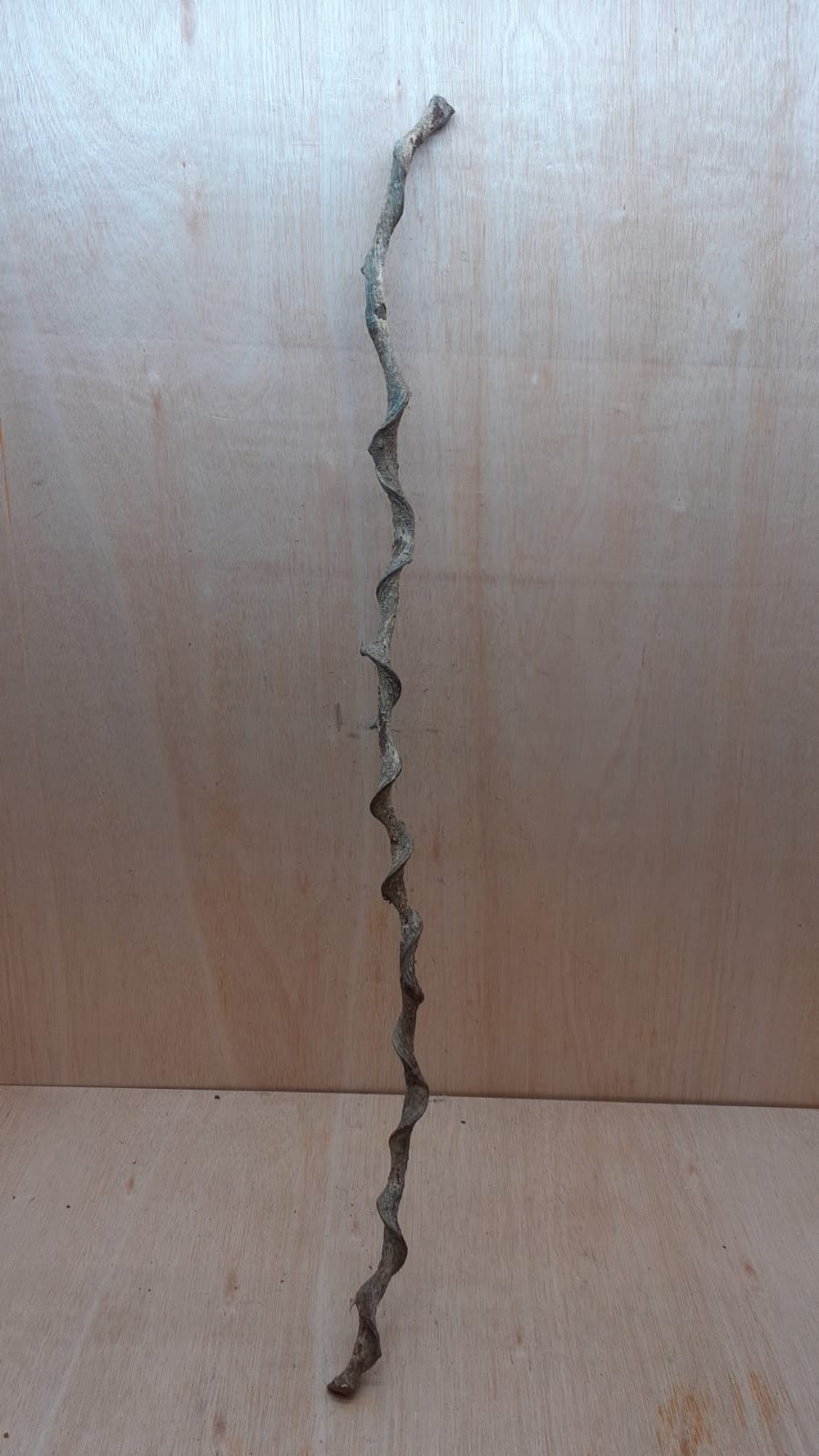 Curved Liana - Long - 10
