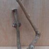 Java Wood - Double Stem - Small 8