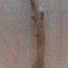 Java Wood - Single Stem - Medium 8