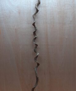 Curved Liana - Long - 8