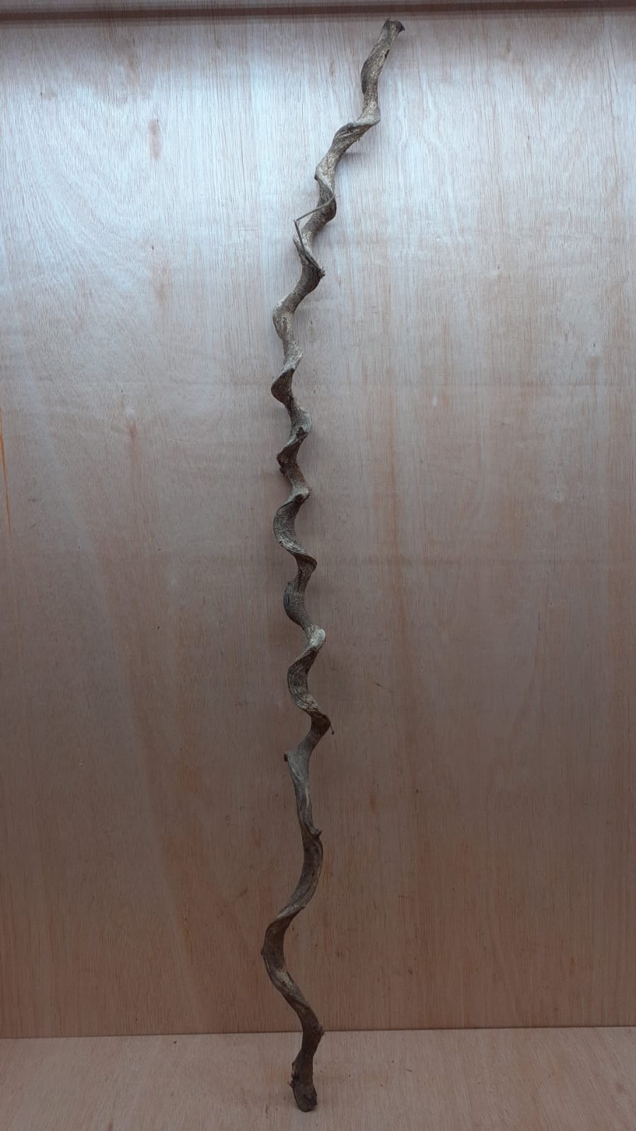 Curved Liana - Long - 8