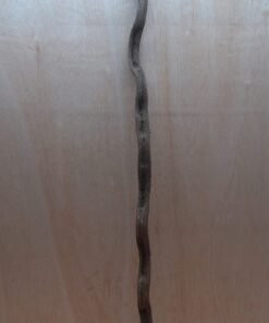 Monkey Ladder Liana - Long - 7