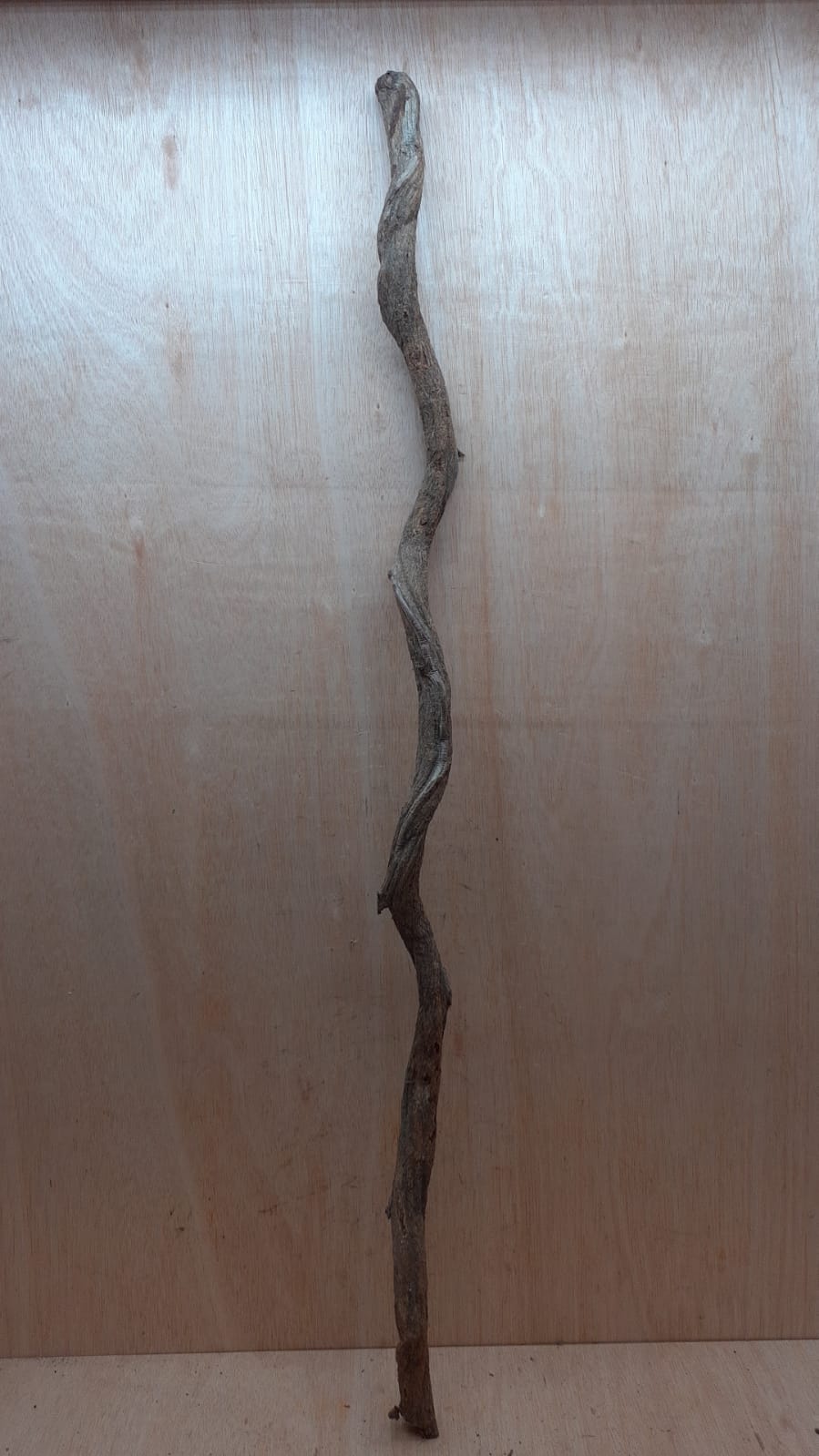 Curved Liana - Long - 5