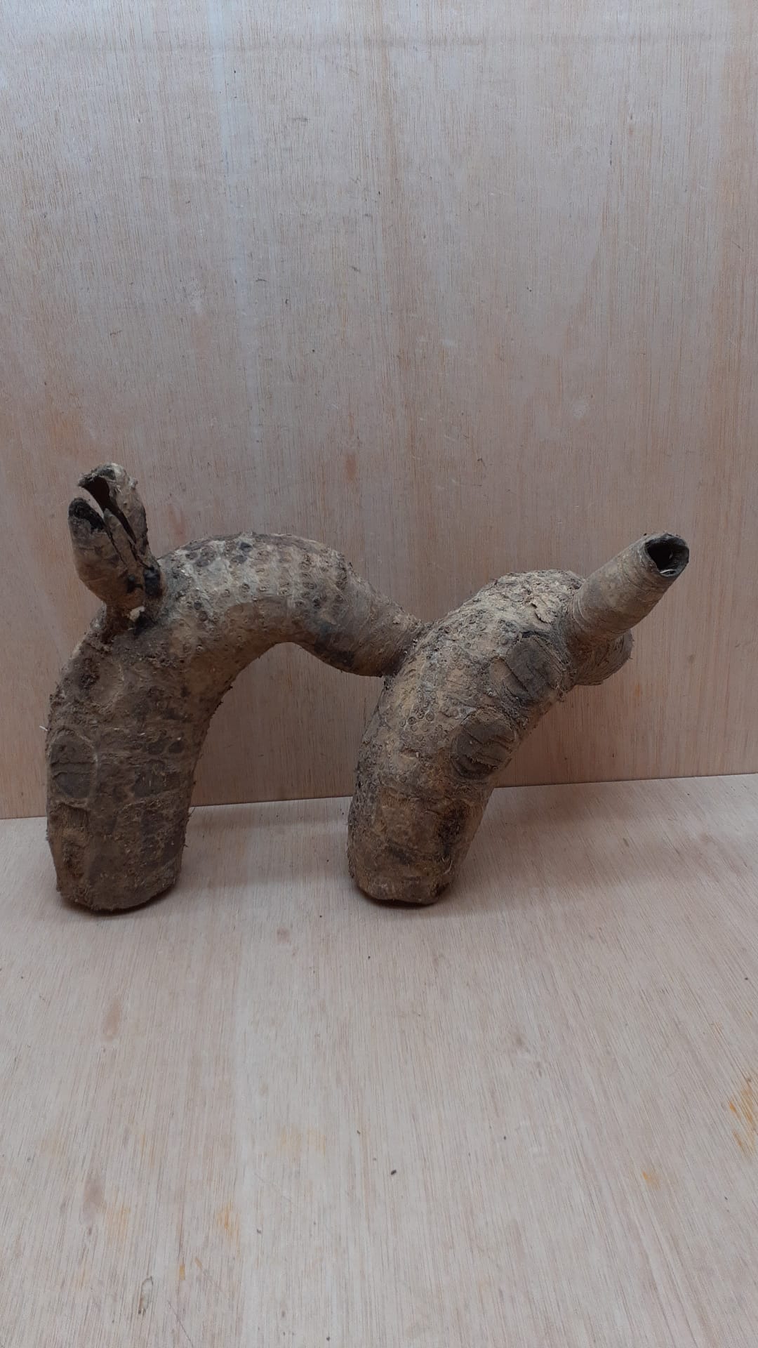 Bamboo Root - Medium - 4