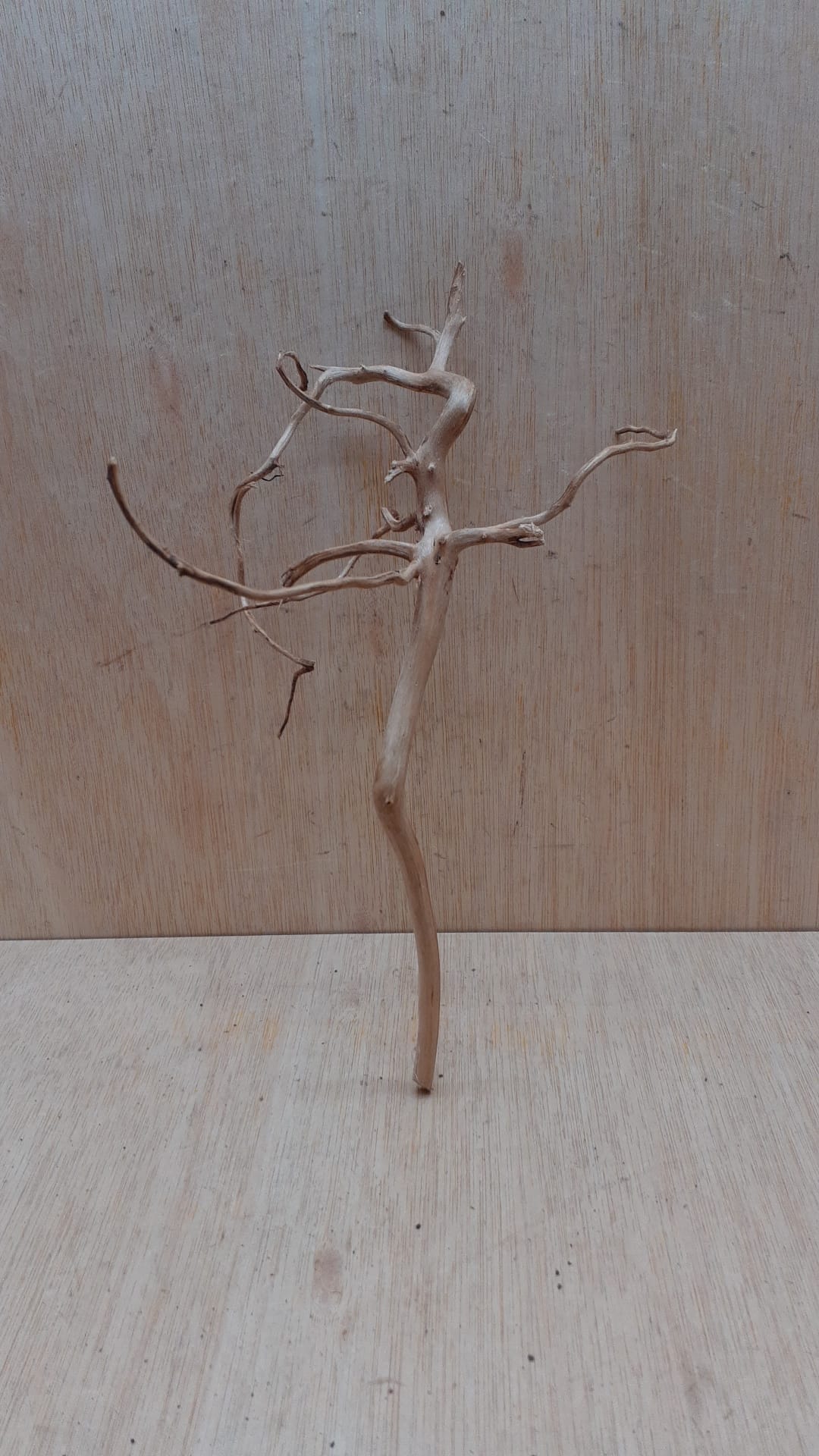Spiderwood Small 2