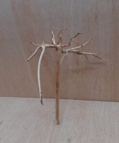Spiderwood Small 3