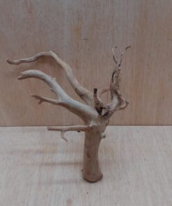 Spiderwood Small 4