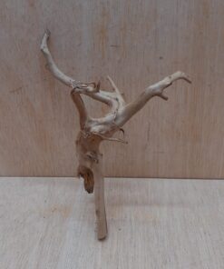 Spiderwood Small 6