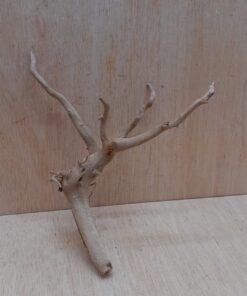 Spiderwood Small 9