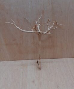 Spiderwood Medium 8