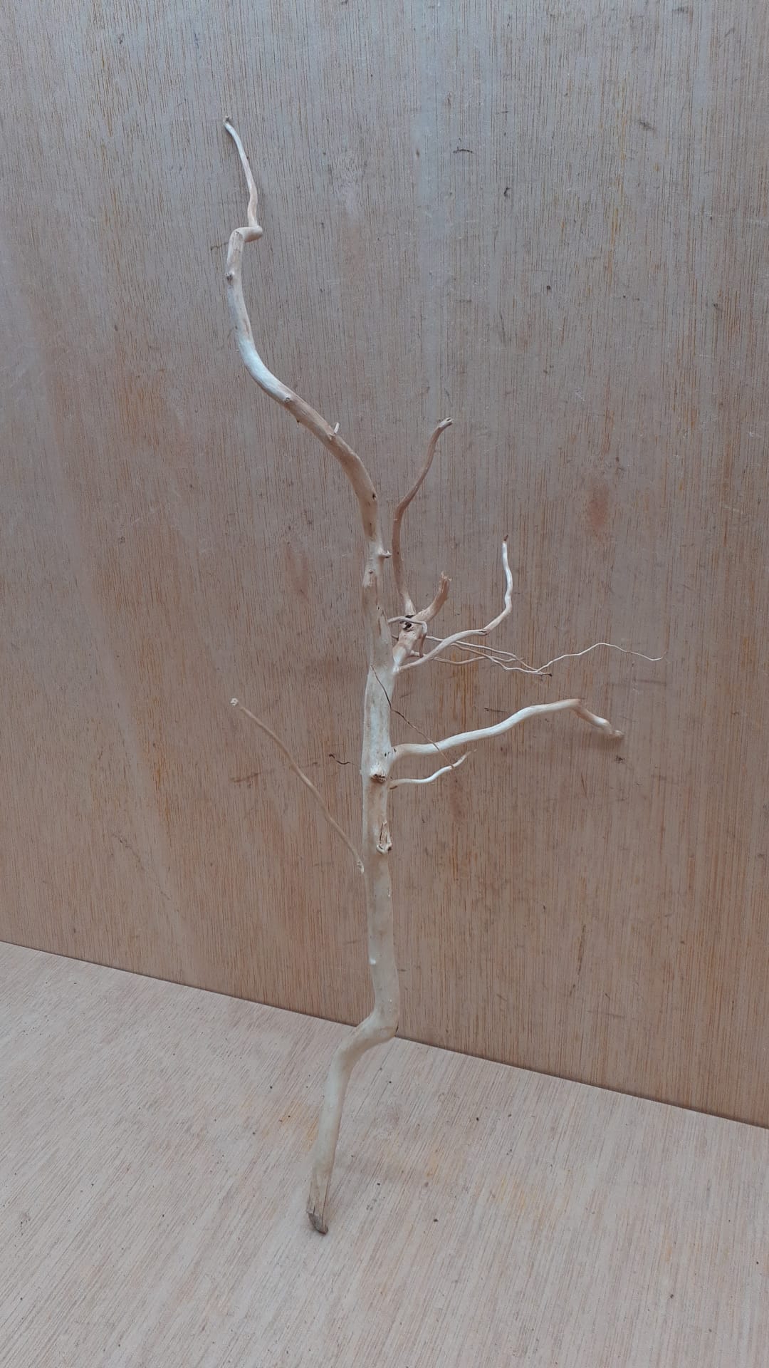 Spiderwood Large 4
