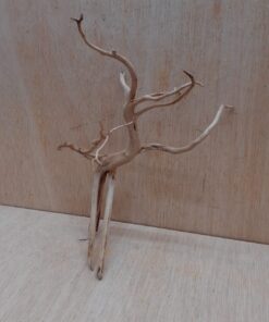 Spiderwood Small 5