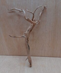 Spiderwood Medium 2