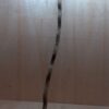Curved Liana - Long - 6