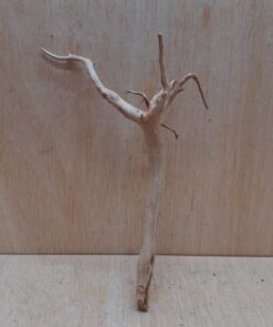 Spiderwood Small 1