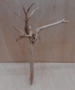 Spiderwood Medium 9