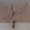 Spiderwood Medium 10