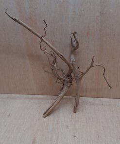 Spiderwood Large 3