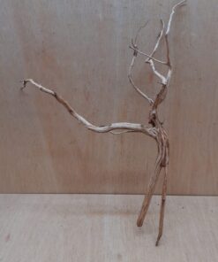 Spiderwood Large 5
