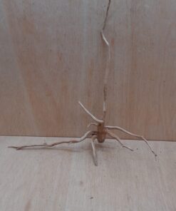 Spiderwood Large 8