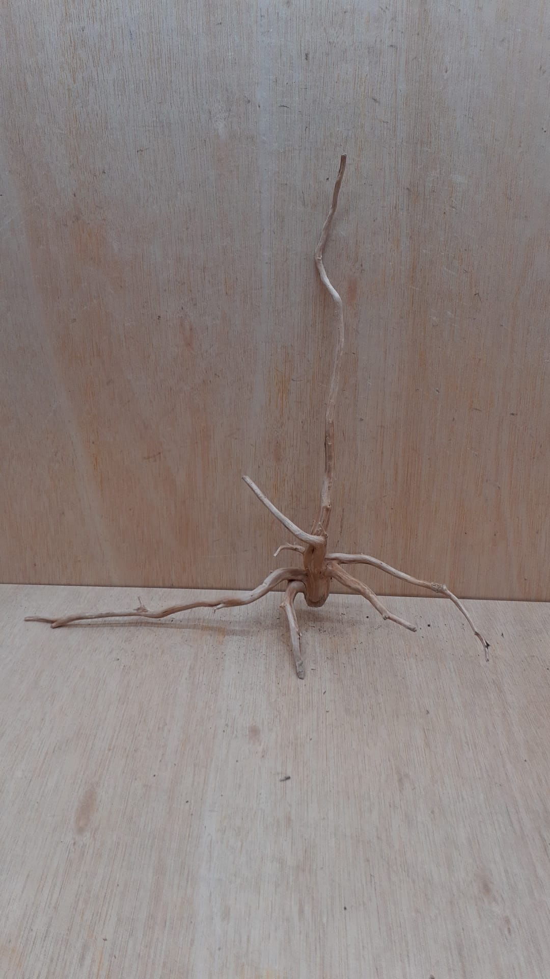 Spiderwood Large 8