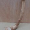 Java Wood - Single Stem - Small 7