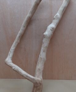 Java Wood - Double Stem - XL 10