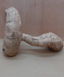 Bamboo Root - Medium - 3