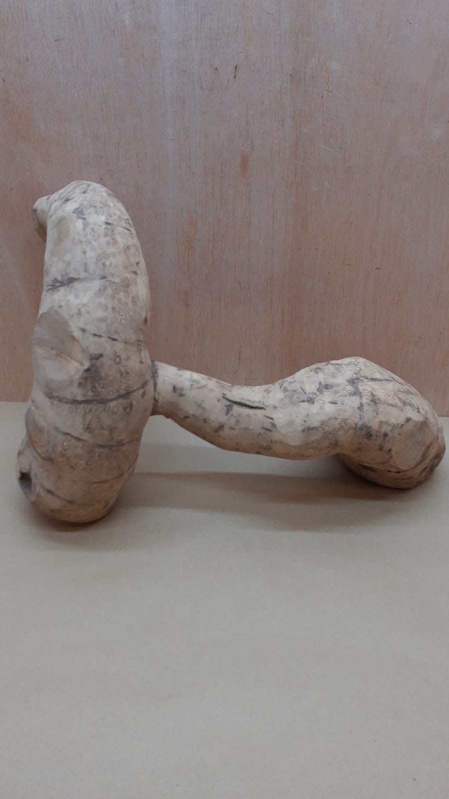 Bamboo Root - Medium - 3