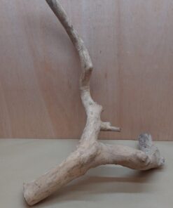 Java Wood - Double Stem - XL 5