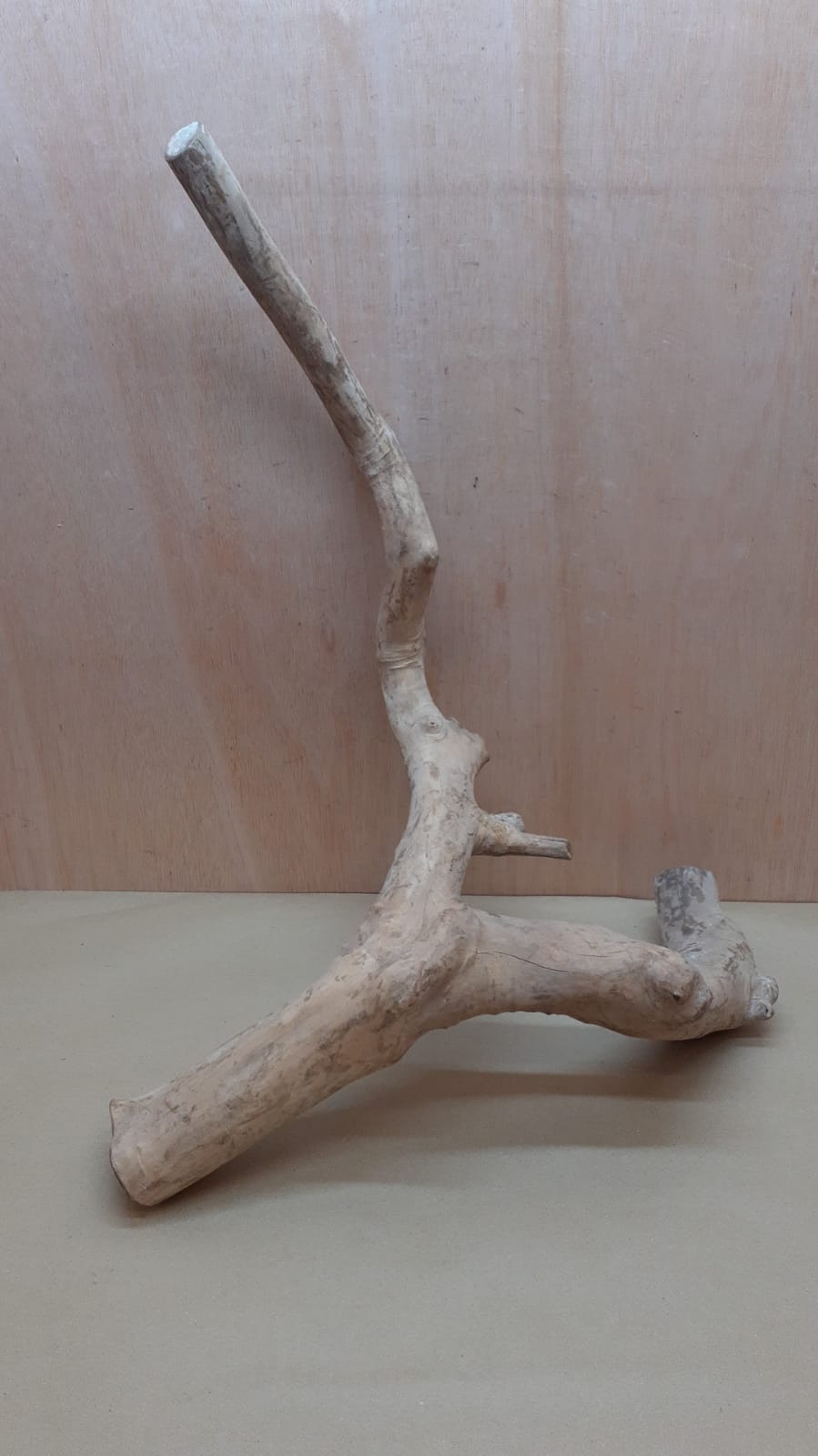 Java Wood - Double Stem - XL 5