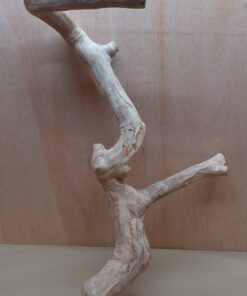 Java Wood - Double Stem - XL 3