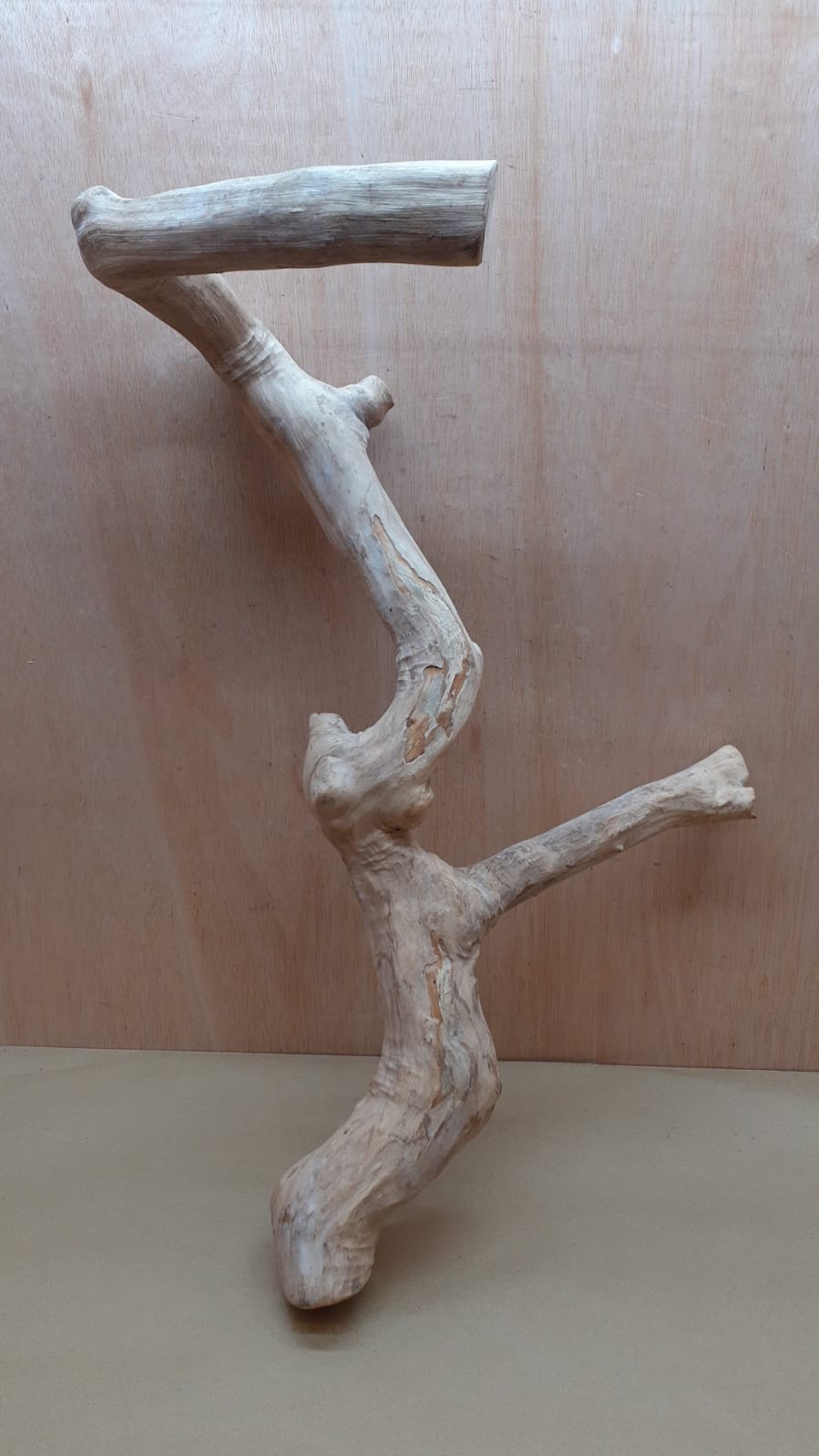 Java Wood - Double Stem - XL 3