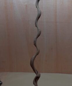 Monkey Ladder Liana - Long - 1