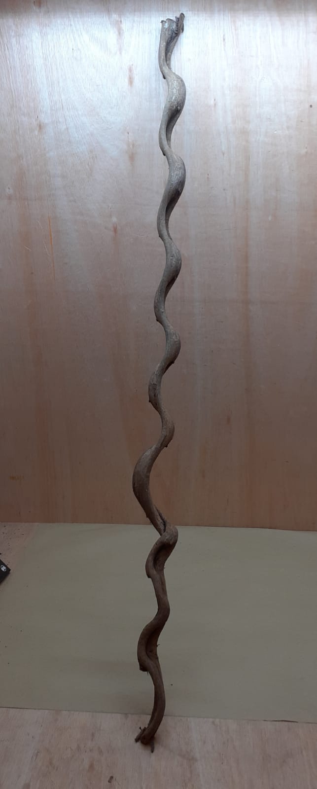 Monkey Ladder Liana - Long - 1