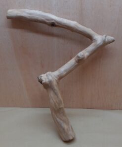 Java Wood - Single Stem - XL 2