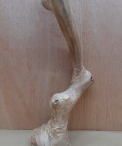 Java Wood - Single Stem - XL 6