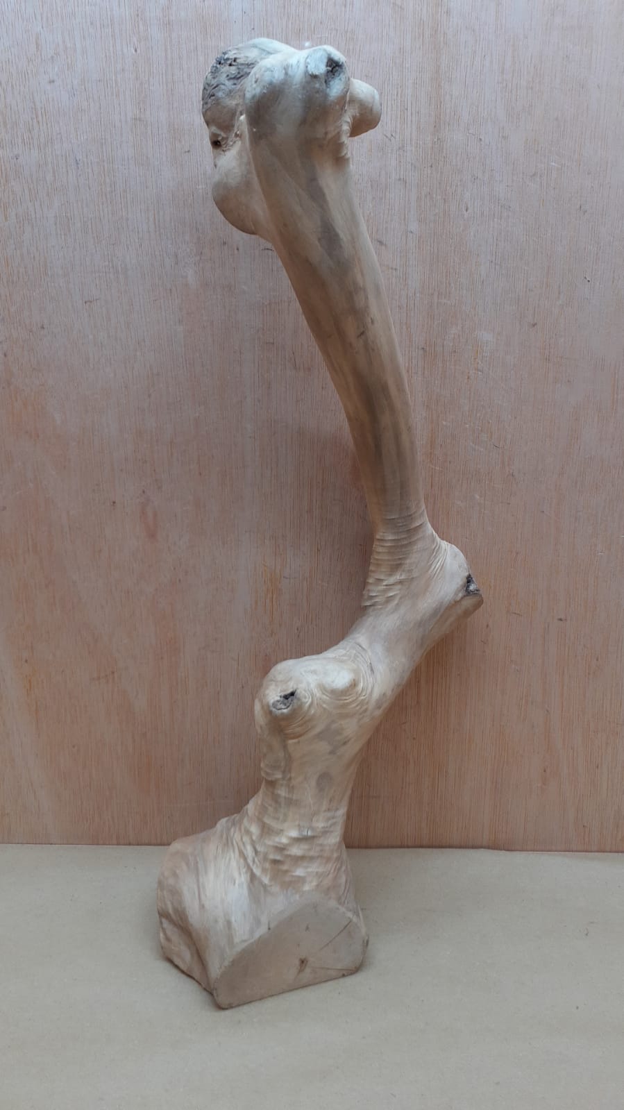 Java Wood - Single Stem - XL 6