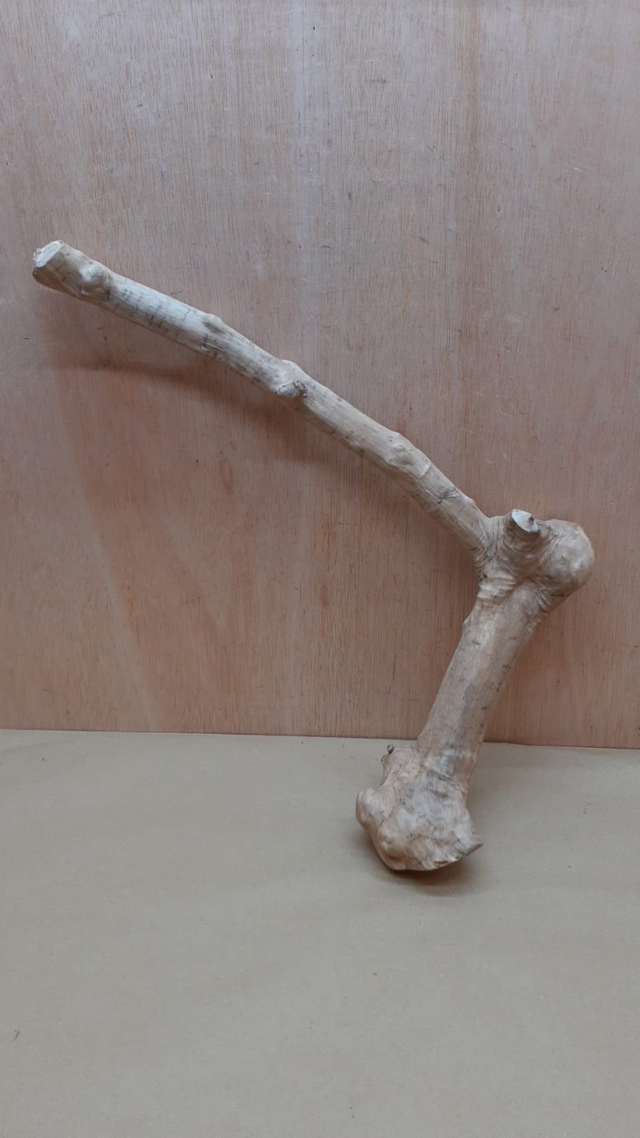 Java Wood - Single Stem - XL 9